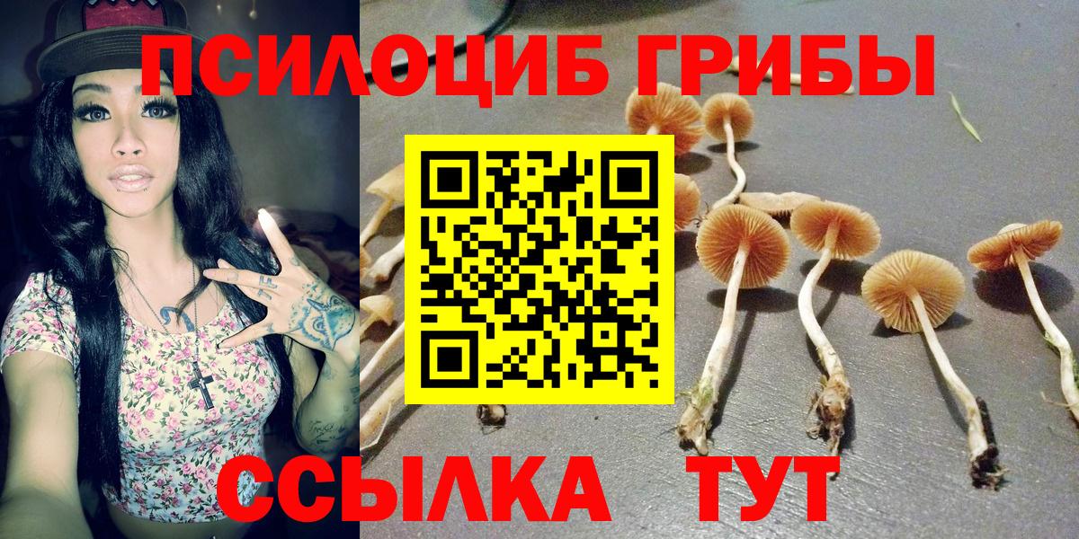Псилоцибиновые грибы Psilocybine cubensis  Вход с VPN  Псилоцибиновые грибы GOLDEN TEACHER  Коломна 